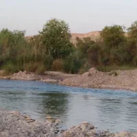 راهنمایی کنید