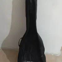 کاور گیتار سالم