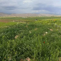 زمین-تجاری-خیابان-اصلی-تلوری