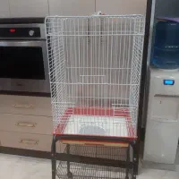 قفس طوطی