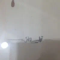 نقاشی آبرنگ اثر مانا نیستانی با تضمین اصالت امضا