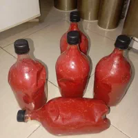رب خانگی