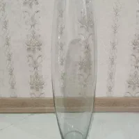 تنگ ماهی یا گدانسک شیشه ای خمره ای