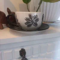 فنجون نعلبکی