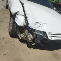 زانتیا تصادفی