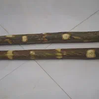 چوب قفس