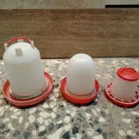 آب‌ خوری و دون خوری مرغ وجوجه