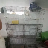 قفس پرنده تکی و جفتی جوجه پران