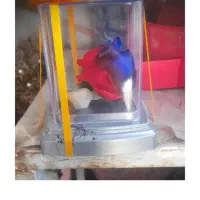 گل دکوری|کلکسیون و سرگرمی|کرج, حصارک پایین|دیوار