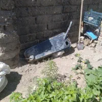 باسلام باک بنزین نیسان شوکاسالم ودرحدنو