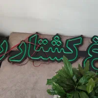 نئون مرغ کشتار روز