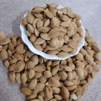 فروش بادام سنگی
