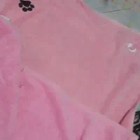 حوله حمام سگ