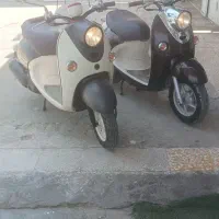 پاکشتی وینو انژکتور در حد صفر