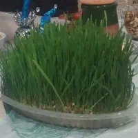 سبزی خوراکی