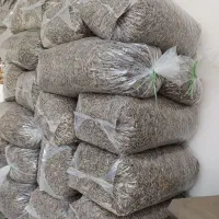 پخش و فروش تخمه