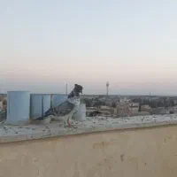 کفتر