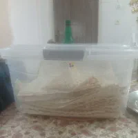 تعدادی جای ترشی زیتون وحتی نان وچندعدد سطل بزرگ