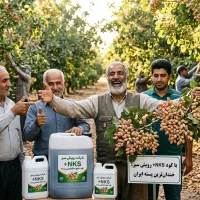 معجزه ای برای مغز پر کنی