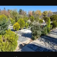 کاشت درختچه و گل برای آرامستان و سر مزار اموات