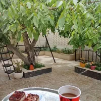 شرکت نظافتی ایرانیان