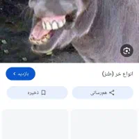 خرنربرافروش