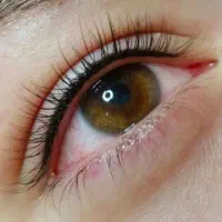 آموزش تخصصی شیدینگ لب وبن مژه