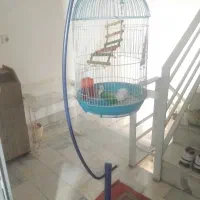 قفس پرنده