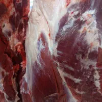 قصاب کاربلدو فروشنده گوشت