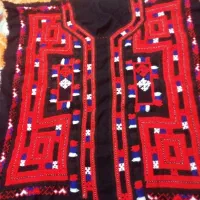 زیاستین بزرگسال تارکش پلیوارچپی دوزسه شیرازه