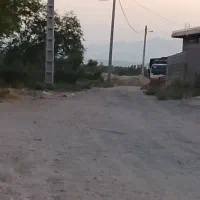 12قصب زمین