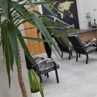 استخدام مشاور