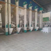 فروش عمده برنج کامفیروزی و عنبر بو درجه یک