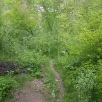 فروش زمین / مازندران
