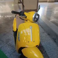 بنلی پانارئا صفر درحد