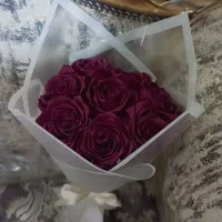 گل روبانی