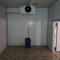 کارخانه قارچ