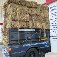 پرس یونجه سبیس