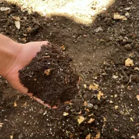 فروش خاک برگ یا خاک مخصوص گل ۴۰ کیلویی و سبکتر