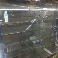 یخچال ویترینی