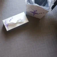ست سطل و جادستمال فانتزی