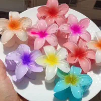 کلیپس خوش رنگ