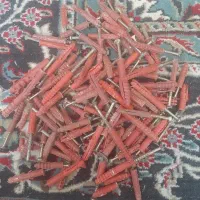 پیچ رول پلاک