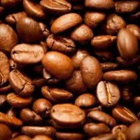 نیرو خانم جهت کار در کافه (باریستا) همراه با آموزش