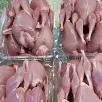 گوشت بلدرچین