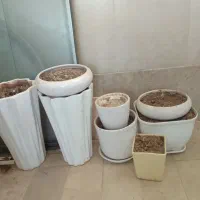 فروش گلدان