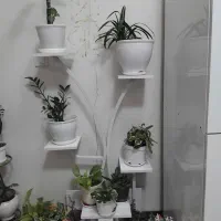 استند گلدان با قیمت فوق مناسب