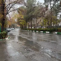 0912کد3رند