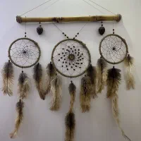 دریم کچر