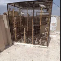جوشکارسیارمحدوده نظام اباد سبلان نارمک